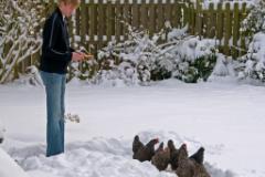 Janis füttert die Hühner  (c) Oskar Narten