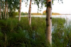 Takkusaari  (c) Oskar Narten