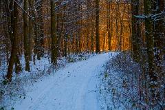 Winterlicht am Abend