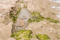 Mini Tal am  Strand  (c) Oskar Narten