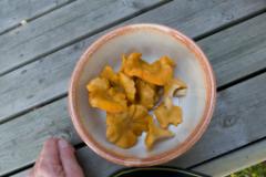 Mittagessen vegetarisch  (c) Oskar Narten