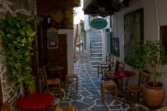 NIK6447  (c) Oskar Narten