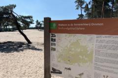 1626C503-094C-4105-964A-A50F285CACEA-20965-000003F830FB02C8