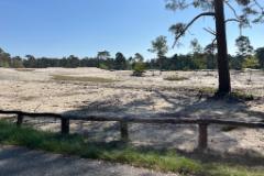 F515F348-95E2-42D2-A036-5602408531DC-20965-000003EEF1578F15