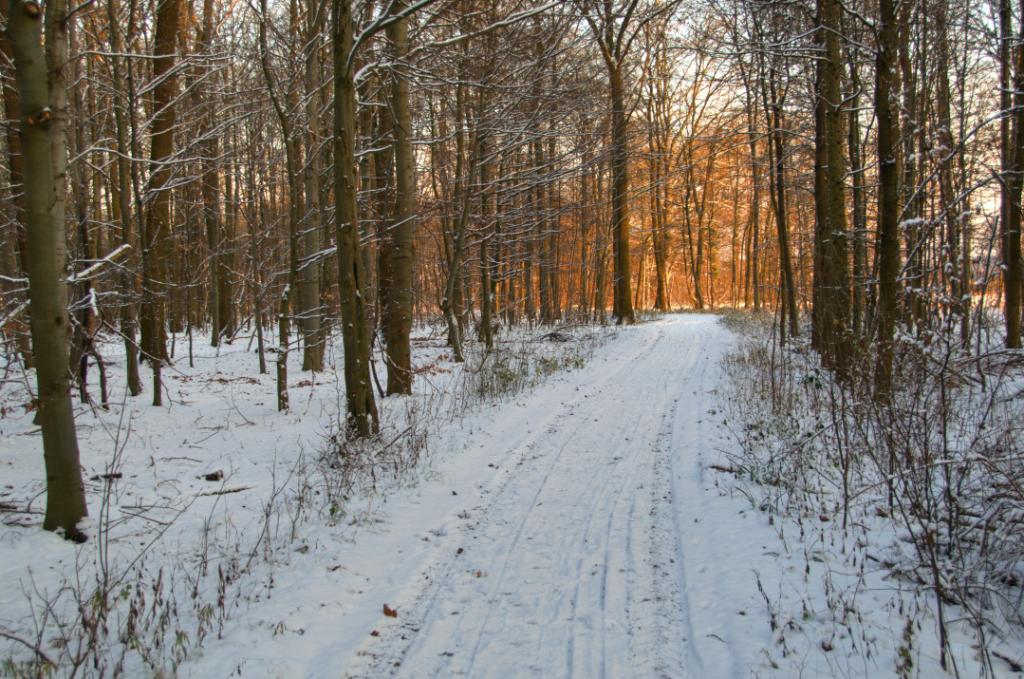  NIK6564 5 6 tonemapped